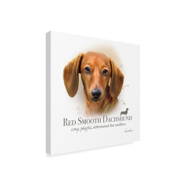 Howard Robinson 'Red Smooth Dachshund' Canvas Art,14x14